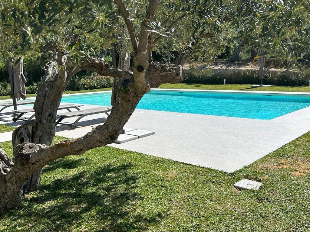 Civetta Blu Bed & Breakfast Кастеламаре дел Голфо Екстериор снимка